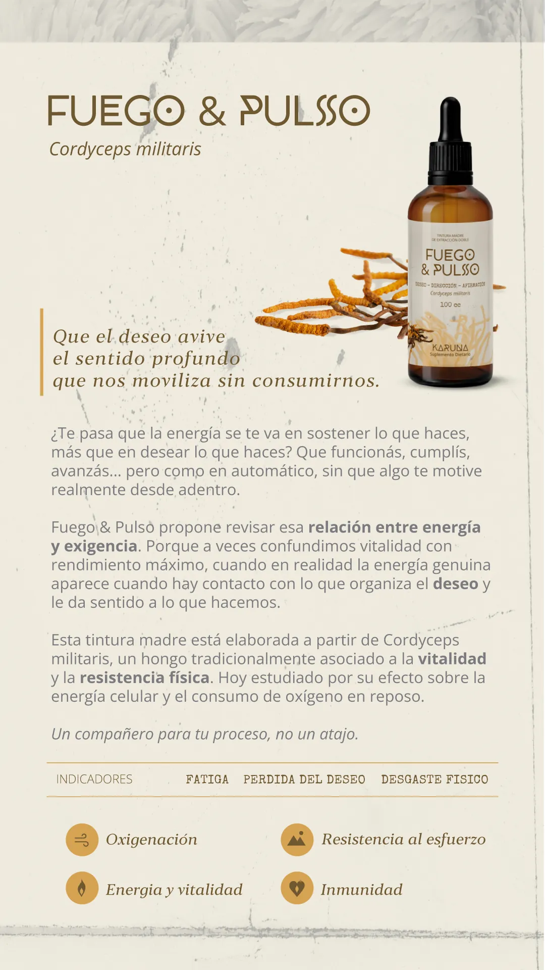 Fuego & Pulso, tintura madre de Cordyceps militaris. Que el deseo avive el sentido profundo que nos moviliza sin consumirnos. Indicadores: fatiga, pérdida del deseo, desgaste físico. Aporta oxigenación, resistencia al esfuerzo, energía y vitalidad, e inmunidad.