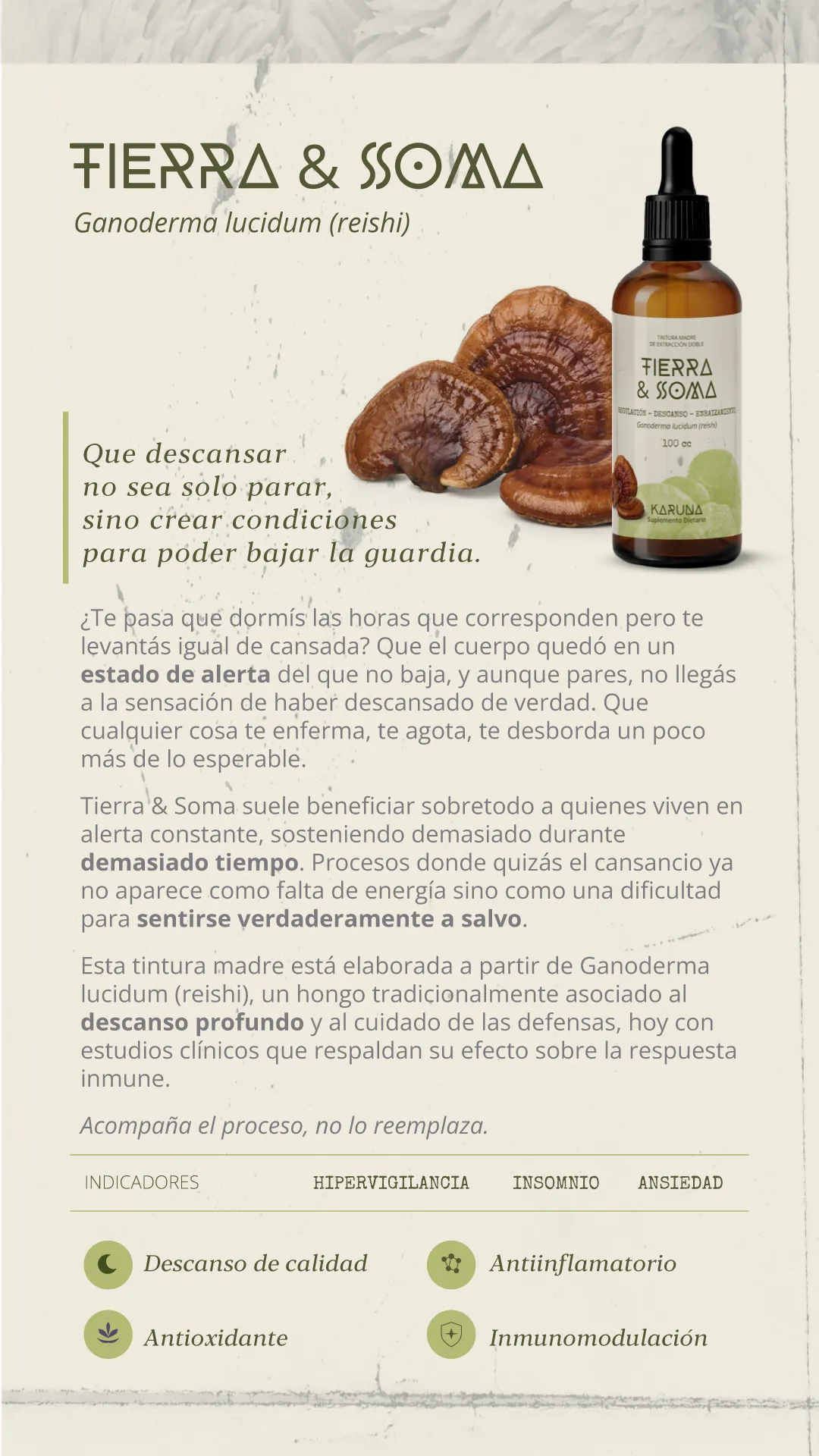 Tierra & Soma, tintura madre de Ganoderma lucidum (reishi). Que descansar no sea solo parar, sino crear condiciones para poder bajar la guardia. Indicadores: hipervigilancia, insomnio, ansiedad. Aporta descanso de calidad, acción antiinflamatoria y antioxidante, e inmunomodulación.