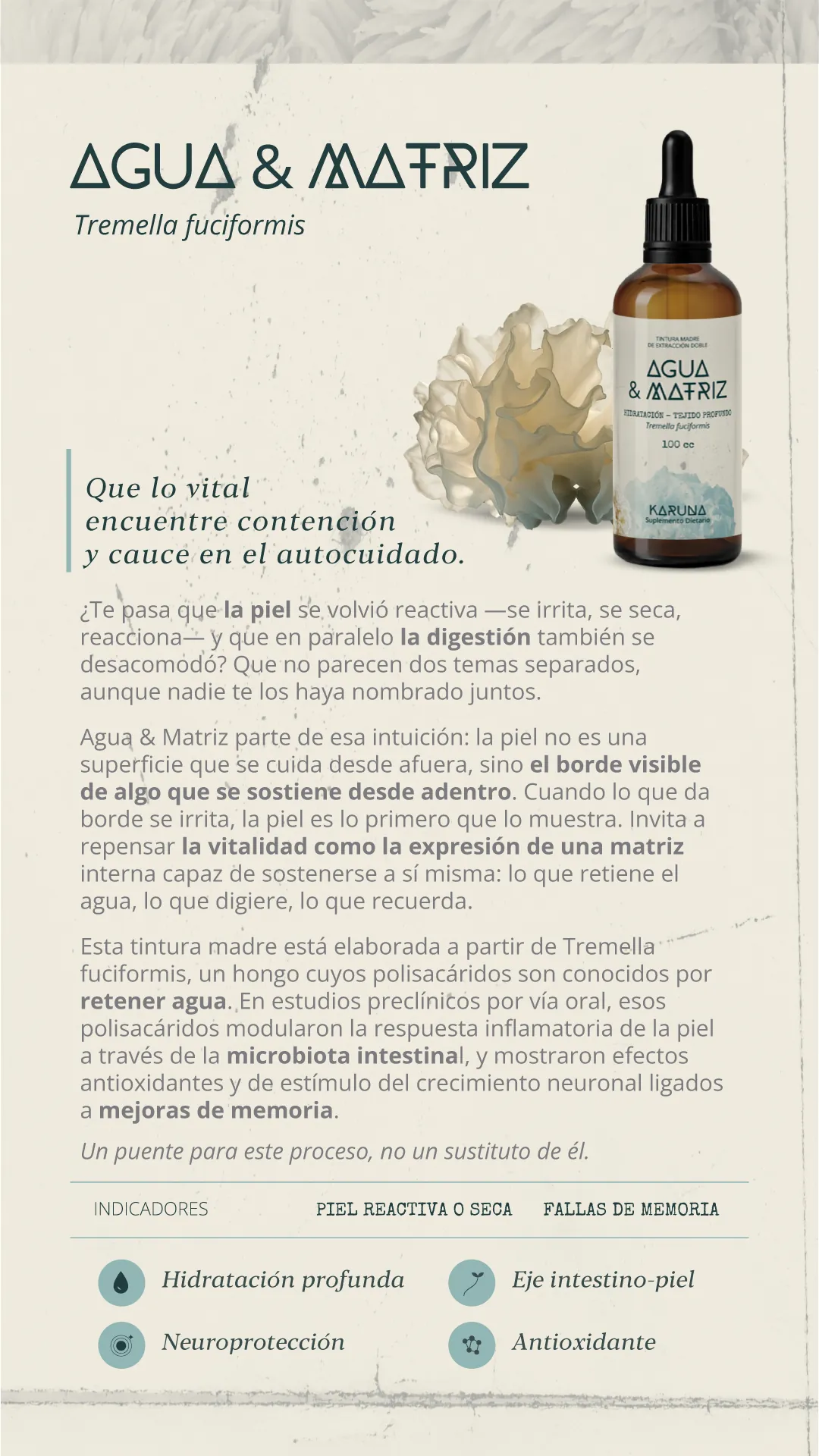 Agua & Matriz, tintura madre de Tremella fuciformis. Que lo vital encuentre contención y cauce en el autocuidado. Para cuando la piel se volvió reactiva —se irrita, se seca— y en paralelo la digestión también se desacomodó. La piel no es una superficie que se cuida desde afuera, sino el borde visible de algo que se sostiene desde adentro. Indicadores: piel reactiva o seca, fallas de memoria. Aporta hidratación profunda, acción sobre el eje intestino-piel, neuroprotección y antioxidantes.